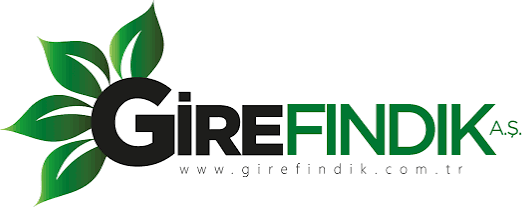 Gire Fındık